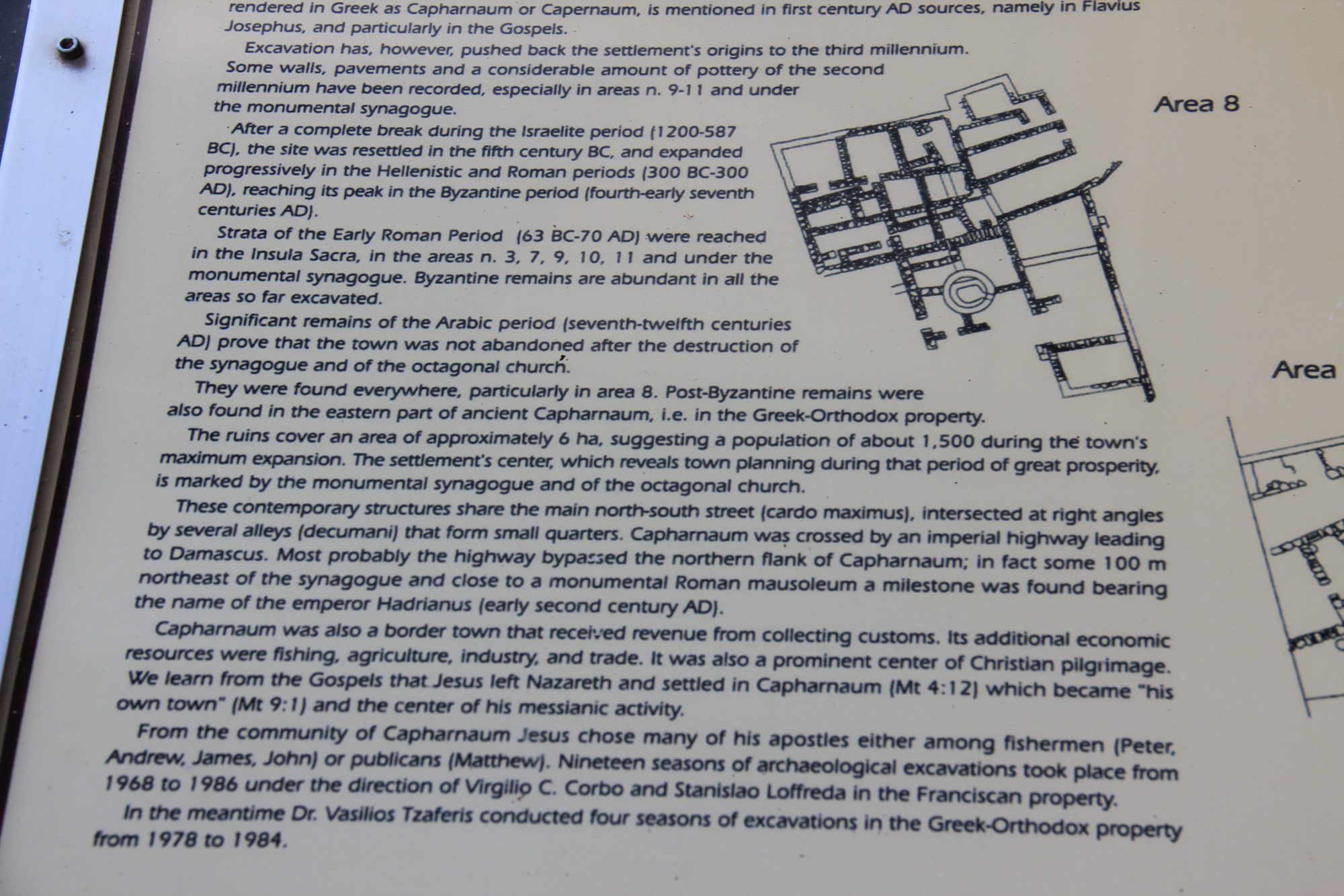 Capharnaum 53